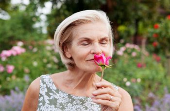 Preparing Your Rose Garden for a Vibrant Spring Season