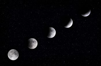 A Gardener’s Guide to Moon Planting: Unlocking the Lunar Cycle’s Influence on Your Garden